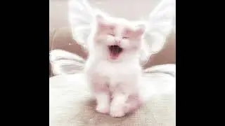 Потап и Настя- Умамы🕊/speed up/💘💘💘💘