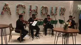 Grupo Amadeus Evento Inauguración !!!