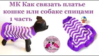 MK How to knit a dress for a cat or dog with knitting needles. Part 1.