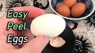 The Best Way to Cook Easy-Peel Eggs — Steam Them!