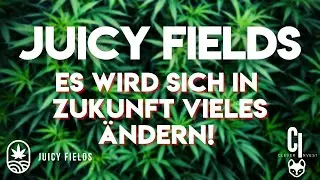 Juicy Fields - Es wird sich in Zukunft VIELES ÄNDERN 👌 - Instagram Story