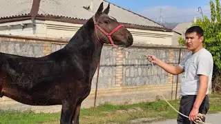 2 ноября 2024 г.