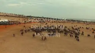 25.01.2020 Бузкашии бехтарини в.Сугд