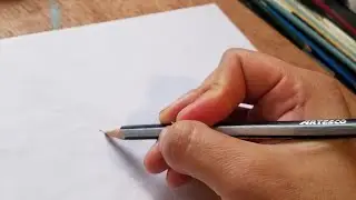 Dibujando un Zorro