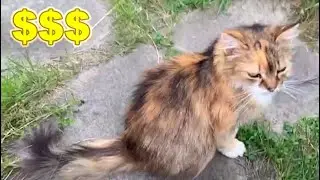 РОЗЫСК (актуально много лет)
