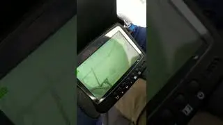 Местная братва. Подледный мир. 