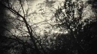 So What I Lied  (With Lyrics)  - Sick Puppies