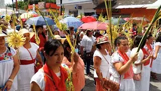 Domingo de Ramos 2024