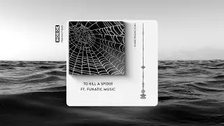 To Kill A Spider (ft. Funatic Music)
