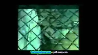 Tributo Playstation 1 PSX, Tribute