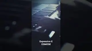 Expressive E / OSMOSE