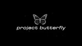 Project Butterfly - An Introduction
