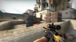 [CS:GO] RushAndFlush