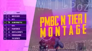 PMBC and T1 montage!