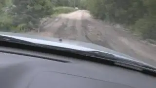 Учимся вождению.