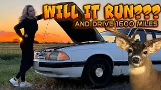 WILL IT RUN AND DRIVE 1600 MILES After Sitting for 10 Years?!?!