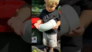 DIY chicken feeder in under a minute! #chickenfeed #chicken #shorts #homesteader #Waylonsworld