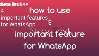 how to use 4 important feature for WhatsApp