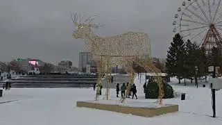 Новосибирск встретил Новый год.