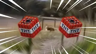Dog spins