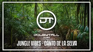 Best Deep Ethnic House Mix - Canto de la Selva - Jungle Vibes (Mixed by Dolbytall) Nicola Cruz, buho