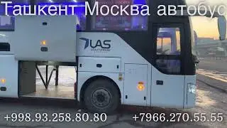 Ташкент Москва автобус Москва Ташкент автобус Россия Узбекистан автобус Хожи бола