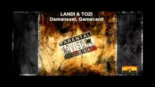 LANDI & TOZI   Damanaxet  Gamacanit