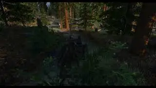 Animated carriage for northern roads-falkreath route
