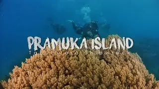 Diving Pulau Pramuka - Tabularasa Shipwreck