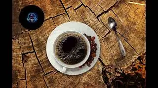 Journey ☕​ Music Copyright - Content License 🥟​