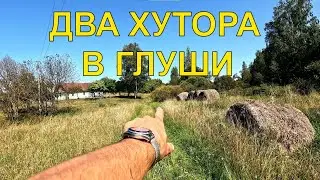 КУПИЛ ДВА ХУТОРА В ГЛУШИ возле ОЗЕРА НАРОЧЬ ЗА КОПЕЙКИ?! 🤔
