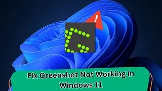 How to Fix Greenshot Not Working in Windows 11