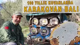 Kaz Dağları'nda 100 yıllık kara kovanlarda bal üretmek! (Karakovan Arıcılık)