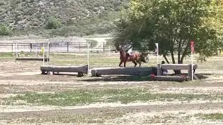 A Classic Vintage, Galway Downs Eventing