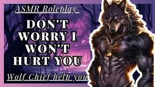 the wolf chief takes you in || [wolf chief Speaker] [Role-play] [i won't harm you] Human] [M4F]