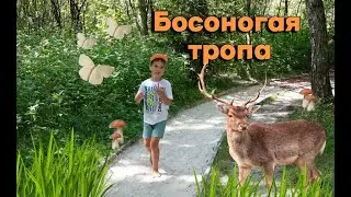 ILYA на БОСОНОГОЙ ТРОПЕ