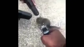 6ix9ine?!?!?
