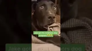 shitpost status 2