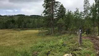 Trail running Bjarnerundan