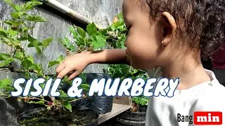 SisiL & murbery