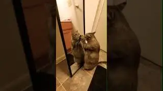Бой Который Невозможно Избежать #тикток #тренды