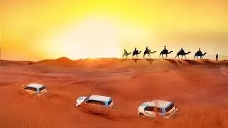 17 августа 2024 г.