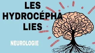 NEUROLOGIE : LES HYDROCÉPHALIES🌟