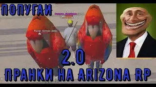 Пранки над игроками в костюмах попугая 2.0 на Arizona rp/SAMP/самп
