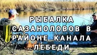 Рыбалка, сазаноловов  краснодарский край.