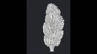 Microtomogram of fossilised plankton: studied to provide insight into prehistoric climate change