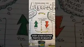 How the Instagram algorithm works Part 1 