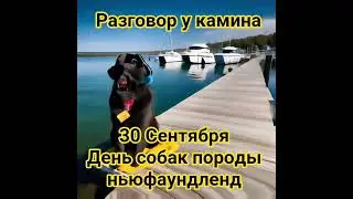 День Ньюфаундленда: уникальный праздник для любителей этой породы
