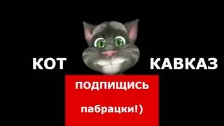 Кот Кавказ   Три в одном 21