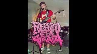 PxPxGx (Possuído Pela Girafa) - Voltei Só Pra Melar Calcinhas :D